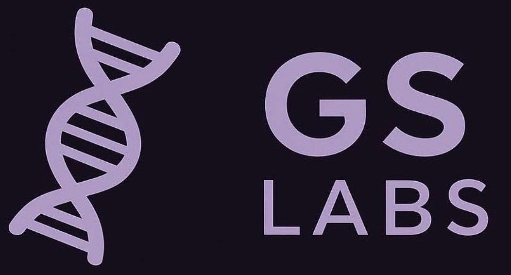 GS Labs